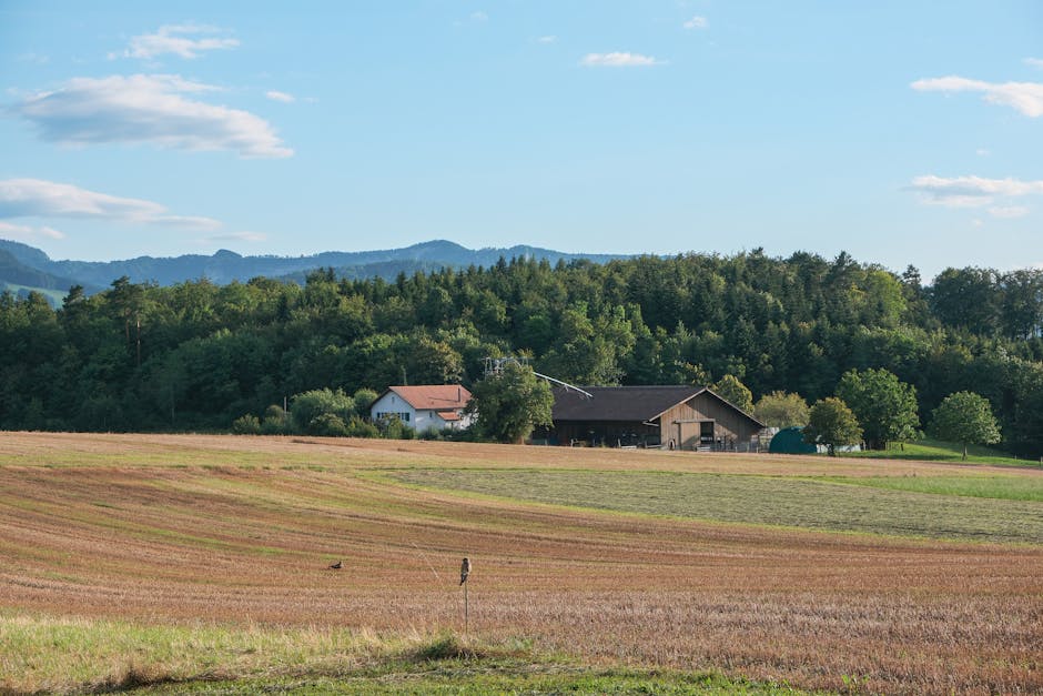 Climate Risk in Farmland: Essential Investment Strategies for 2025