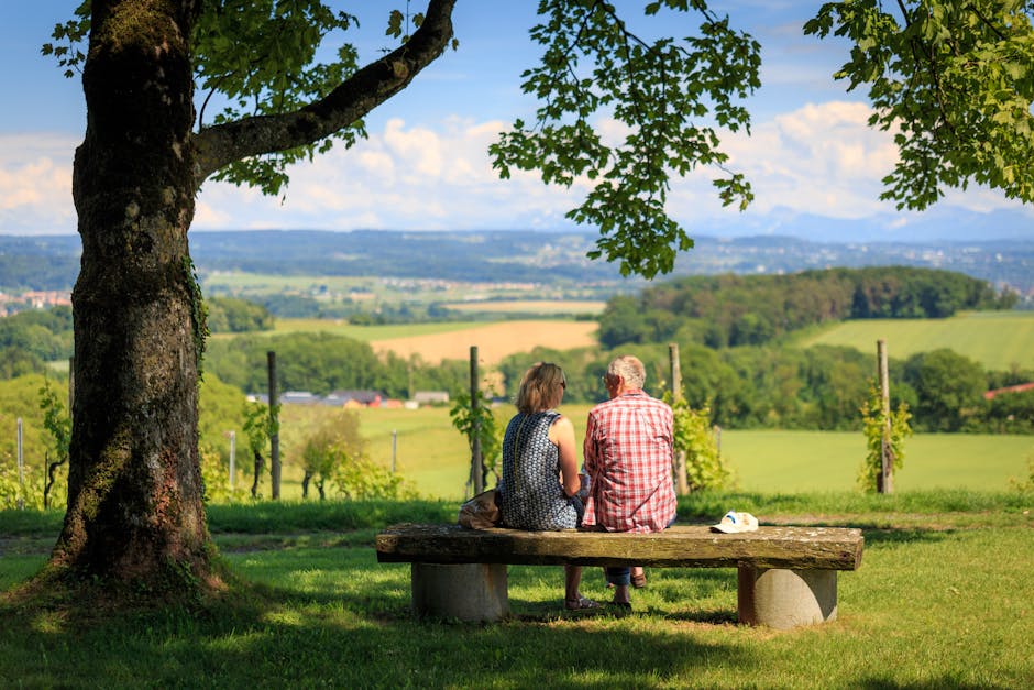 Savings Account: Best High-Yield Options and How to Maximize Returns